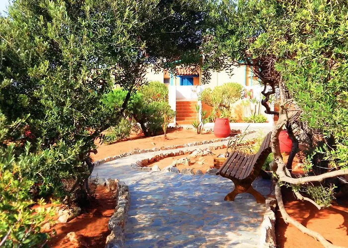 Zorbas Beach Village Hotel