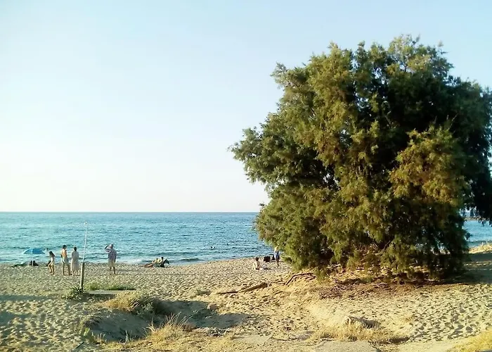 On The Beach